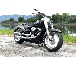 Harley-Davidson Fat Boy 114 из Японии, фото 5