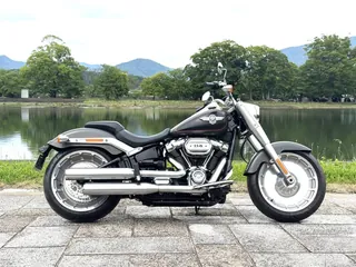 Harley-Davidson Fat Boy 114 из Японии, фото 6
