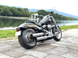 Harley-Davidson Fat Boy 114 из Японии, фото 7