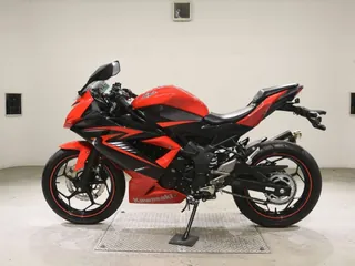 Kawasaki Ninja 250SL из Японии, фото 2
