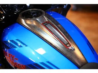 Harley-Davidson FLTRXSTSE CVO из Японии, фото 6