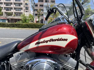 Harley-Davidson FLST из Японии, фото 8