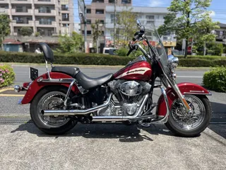 Harley-Davidson FLST из Японии, фото 4