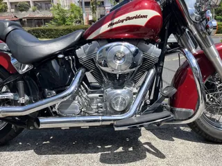 Harley-Davidson FLST из Японии, фото 7