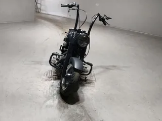 Harley-Davidson FLSTFB1580 из Японии, фото 3