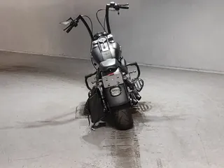 Harley-Davidson FLSTFB1580 из Японии, фото 4