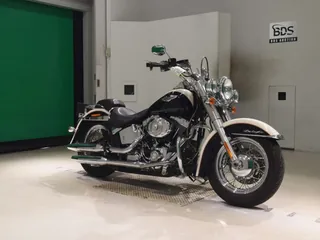Harley-Davidson FLSTN1580 из Японии, фото 3